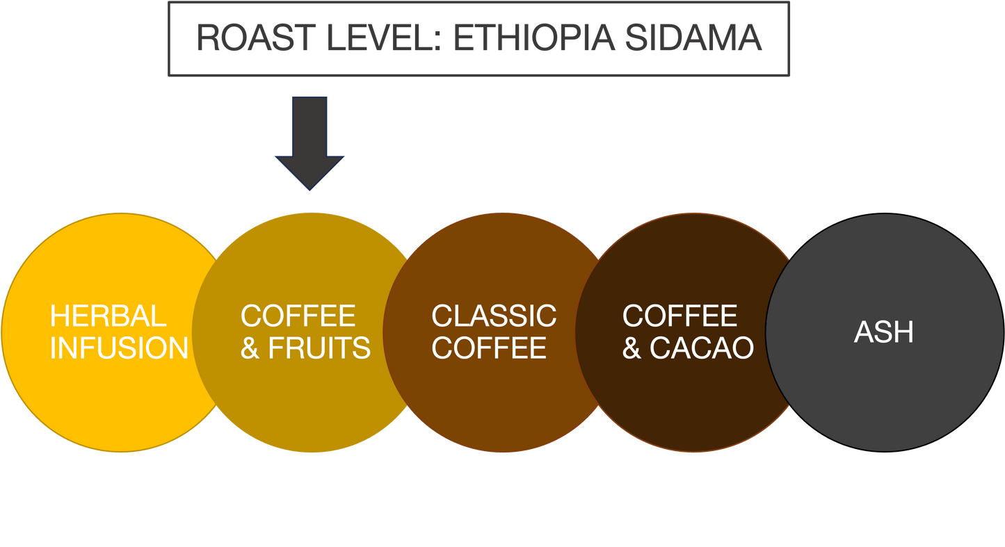 ETHIOPIA SIDAMA 12oz