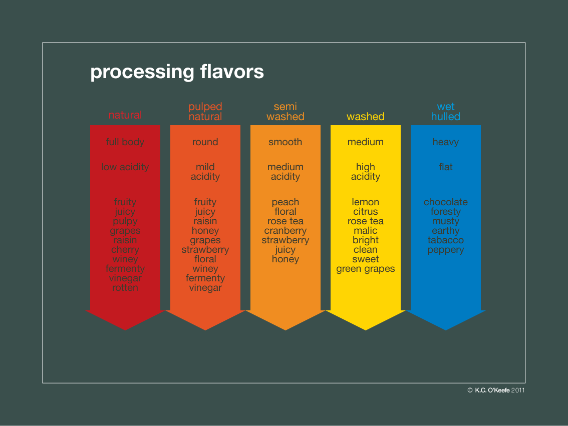 ETHIOPIA - Guji Natural 12oz